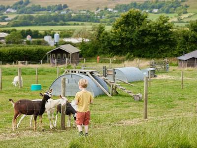 Thumbnail 5 van BoerenBed East Shilvinghampton Farm