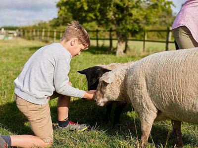 Thumbnail 5 van BoerenBed College Farm