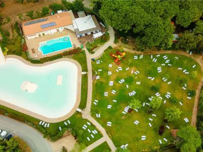 Thumbnail 2 van Etruria