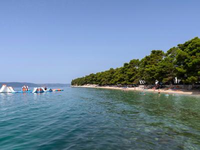 Thumbnail 2 van Dole