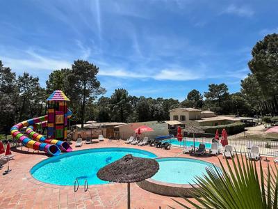 Thumbnail 2 van La Simioune