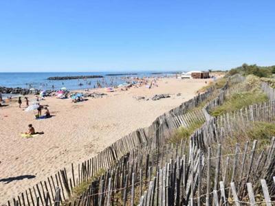 Thumbnail 3 van Le Napoléon