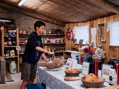 Thumbnail 2 van BoerenBed La Ferme de Penquelen Huella