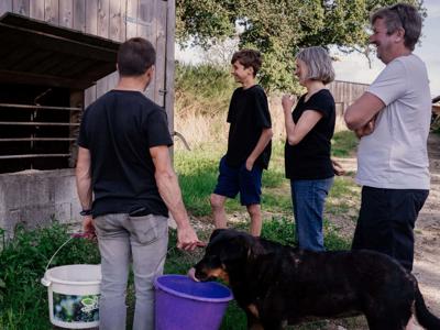 Thumbnail 4 van BoerenBed La Ferme de Penquelen Huella