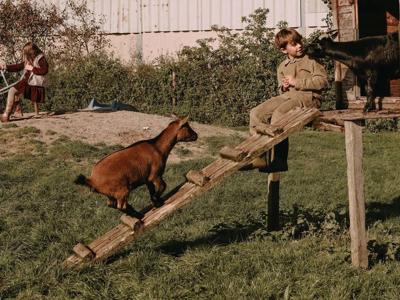 Thumbnail 4 van BoerenBed De Brabantse Hei