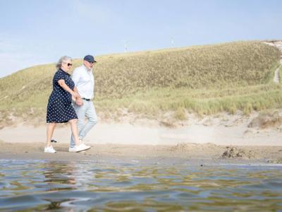 Thumbnail 3 van Landal Ameland State