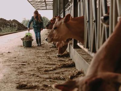 Thumbnail 3 van BoerenBed Hoeve den Overdraght