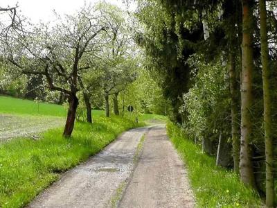 Thumbnail 5 van BoerenBed Hohenwarter Seehof