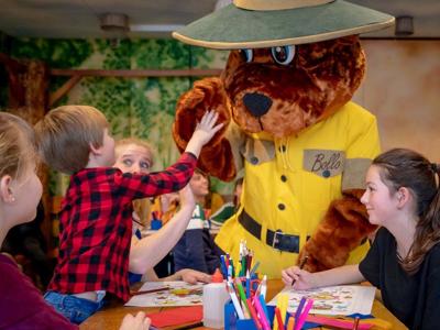 Thumbnail 5 van Landal Aelderholt