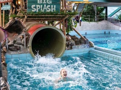 Thumbnail 2 van Landal Het Vennenbos