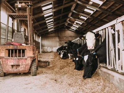 Thumbnail 3 van BoerenBed Hoeve de Betuwe