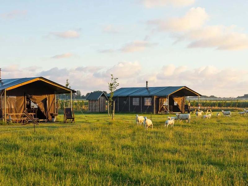 Foto van BoerenBed Boerderij Ameland