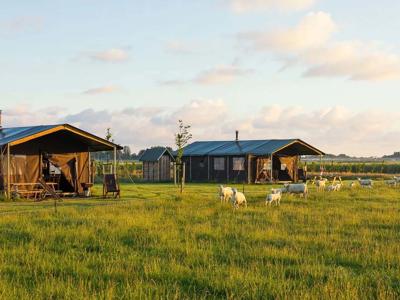 BoerenBed Boerderij Ameland