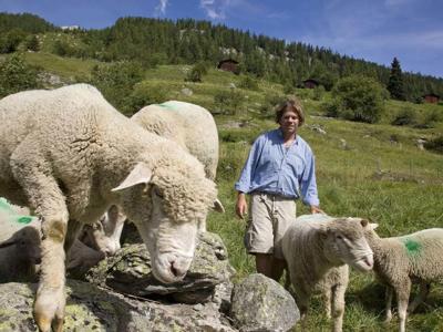 Thumbnail 3 van BoerenBed Wallis Collection