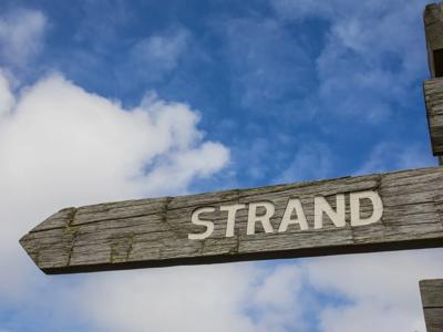 Thumbnail 4 van Bos en Duin