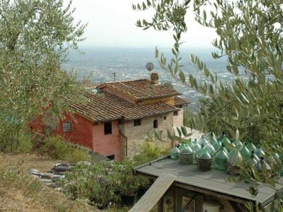 Thumbnail 3 van Gli Asini Felici