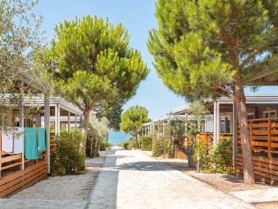 Thumbnail 2 van Mediteran Kamp Ljutic