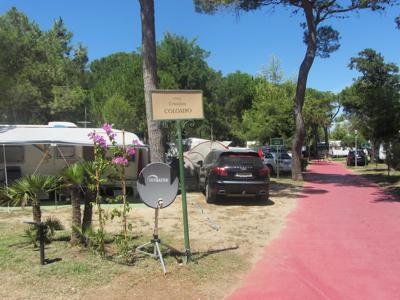 Thumbnail 5 van Pino Mare