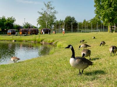 Thumbnail 4 van Knaus campingpark Bad Dürkheim