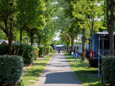 Thumbnail 3 van Del Sole 