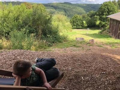 Thumbnail 2 van BoerenBed Ferme de Rochefort en Ardenne