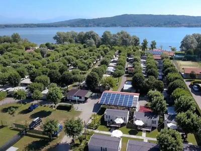 Thumbnail 3 van Rose