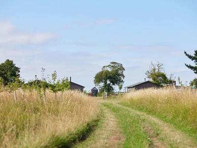 Thumbnail 5 van BoerenBed Glastonbury Hill Farm