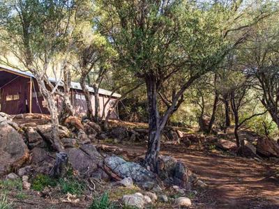 Thumbnail 3 van BoerenBed Figari