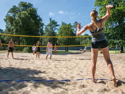 Thumbnail 5 van Sylvamar