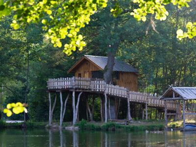 Thumbnail 4 van Au Mica