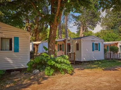 Thumbnail 3 van Les Avignon