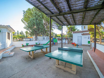 Thumbnail 5 van Holacamp Sant Salvador