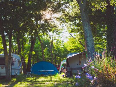 Thumbnail 4 van De Peyroche