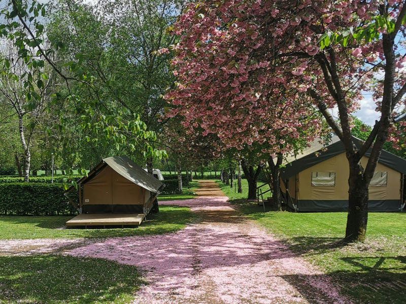 Foto van Belle-Vue 2000