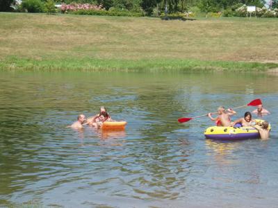 Thumbnail 4 van Sonnenwiese