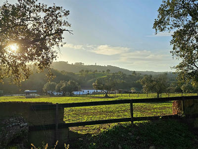 Thumbnail 5 van Casa da Vinha