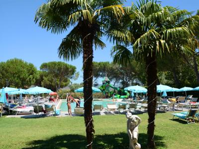 Thumbnail 2 van Badiaccia