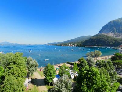 Thumbnail 3 van Orchidea