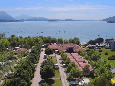 Thumbnail 5 van Orchidea