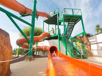 Thumbnail 5 van l'Amfora