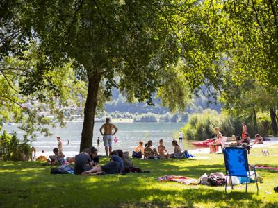 Thumbnail 3 van Caldonazzo Family Collection