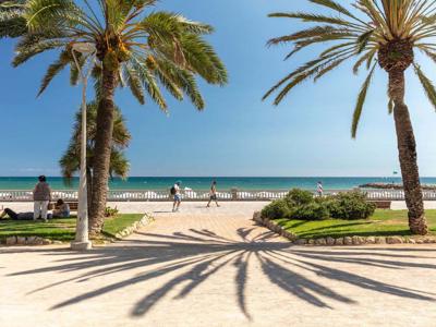 Thumbnail 5 van El Garrofer