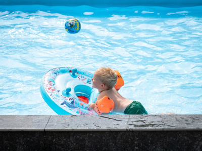 Thumbnail 2 van Petite Suisse