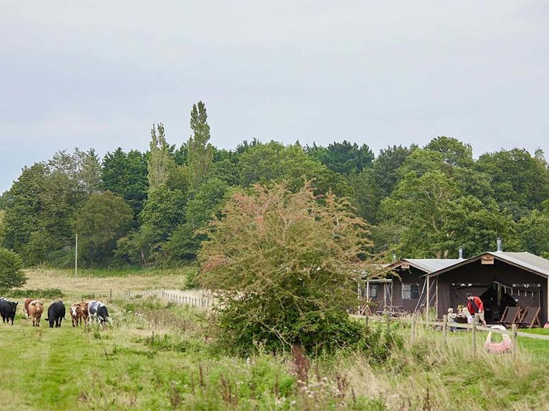 Foto van BoerenBed Heydon Grove Farm