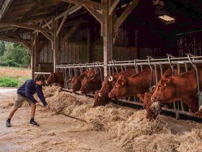 Thumbnail 4 van BoerenBed L’Étable des Mauges en Anjou