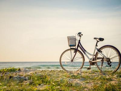 Thumbnail 5 van Fort den Haak