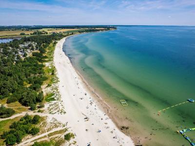 Thumbnail 5 van Feddet