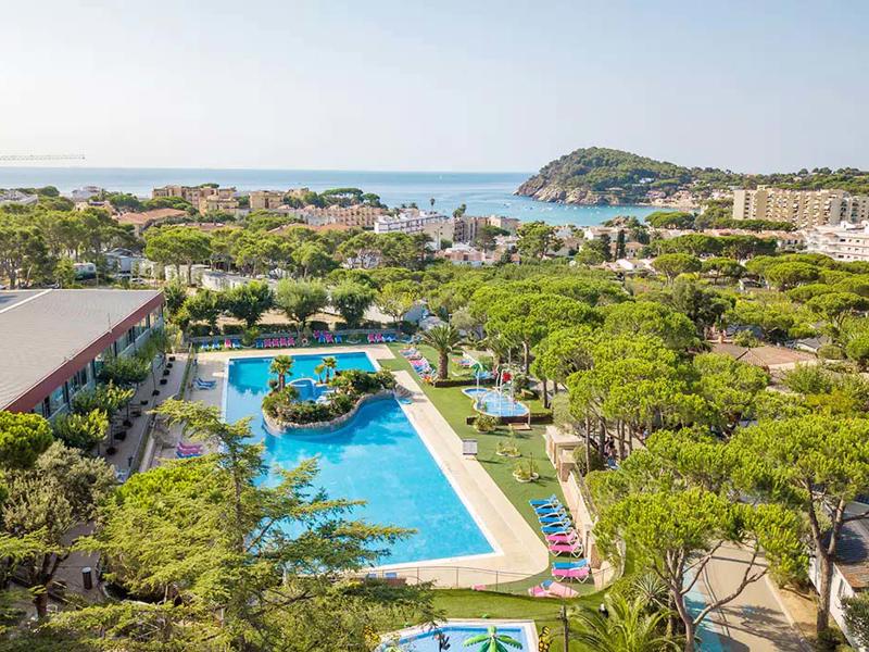 Hoofdfoto van King's