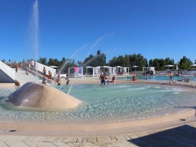 Thumbnail 4 van Rosapineta