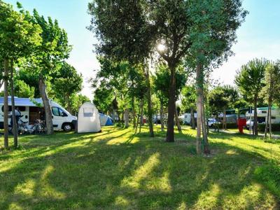 Thumbnail 4 van Rivanuova